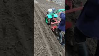 Нарезка гребней для посадки картофеля мотоблоком. Обработка земли окучником мотоблока.