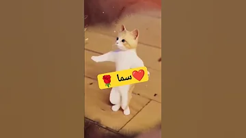الاكتر طلبا سما سما ترند مصر ترند السعودية Foryou لايك الاشتراك Shorts Short 