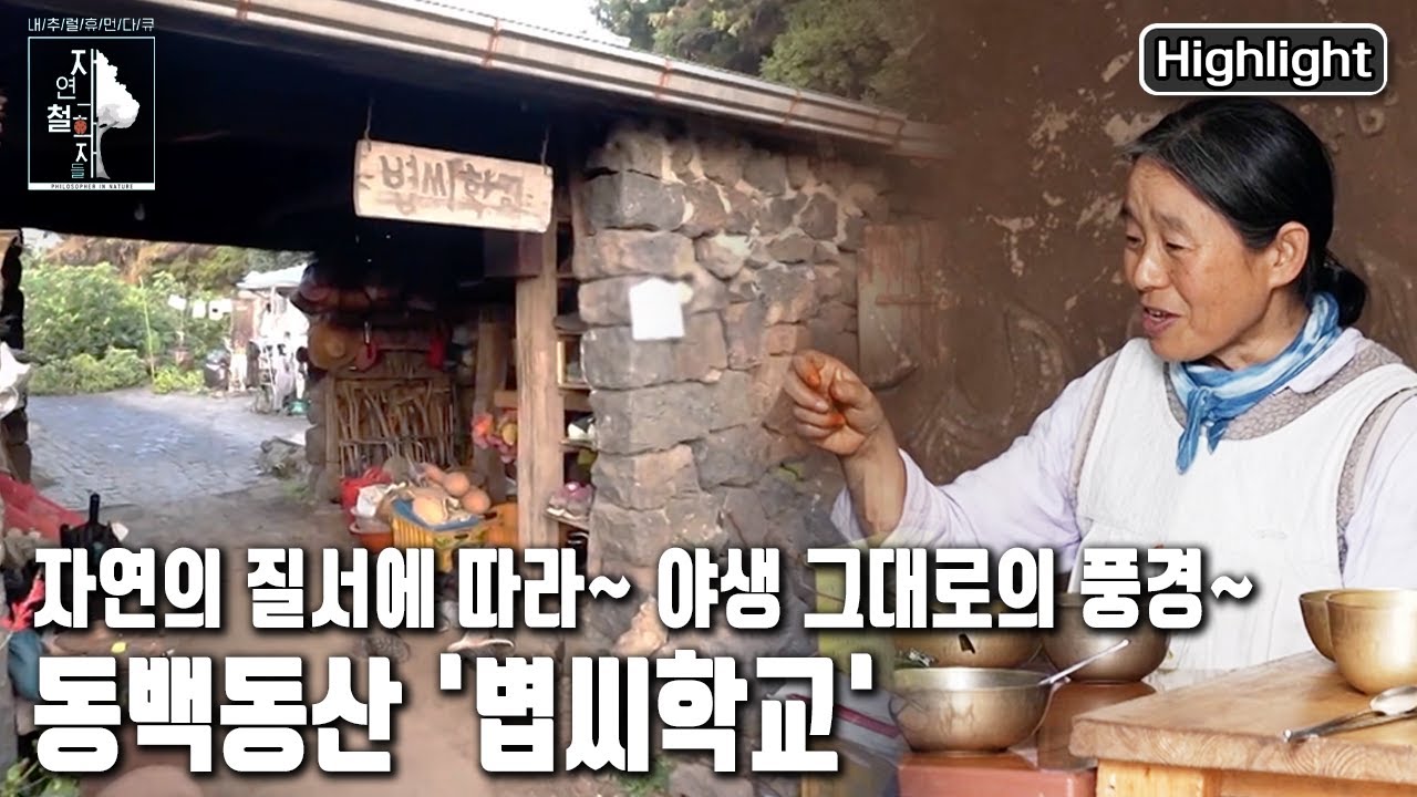 한반도 최대의 상록활엽수림 동백동산. 숲의 바다에 문을 연 '볍씨학교'   | 자연의 철학자들 33부 '내 안에 야생이 숨 쉰다' (KBS 20221111 방송)