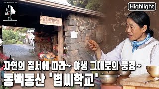 한반도 최대의 상록활엽수림 동백동산. 숲의 바다에 문을 연 '볍씨학교'   | 자연의 철학자들 33부 '내 안에 야생이 숨 쉰다' (KBS 20221111 방송)