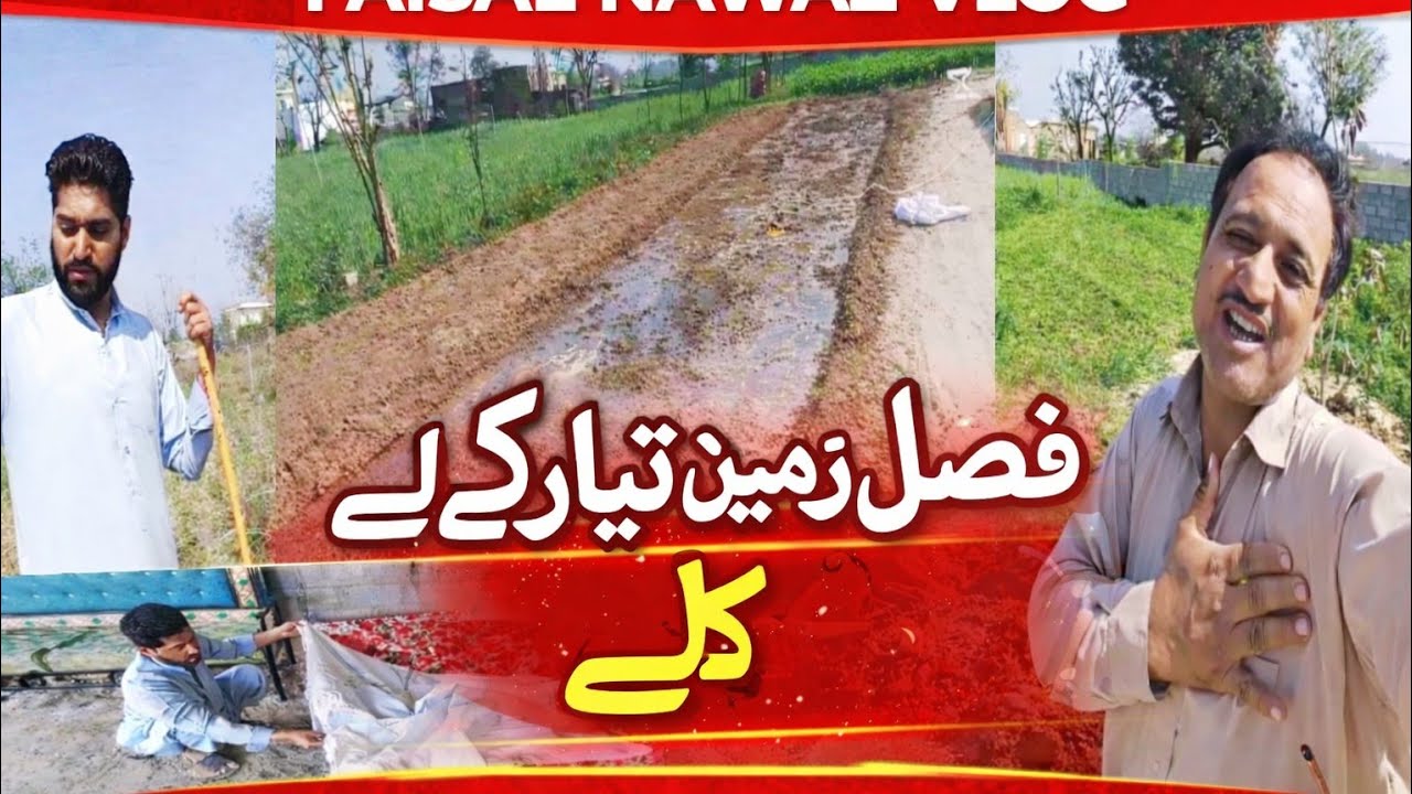 فصل کے لیے زمین تیار کرنے کا مکمل طریقہ | دیسی کھیتی باڑی ویلاک