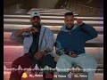 شفتي ياروحي طاح الجمل ريمكس دي جي طلوو  