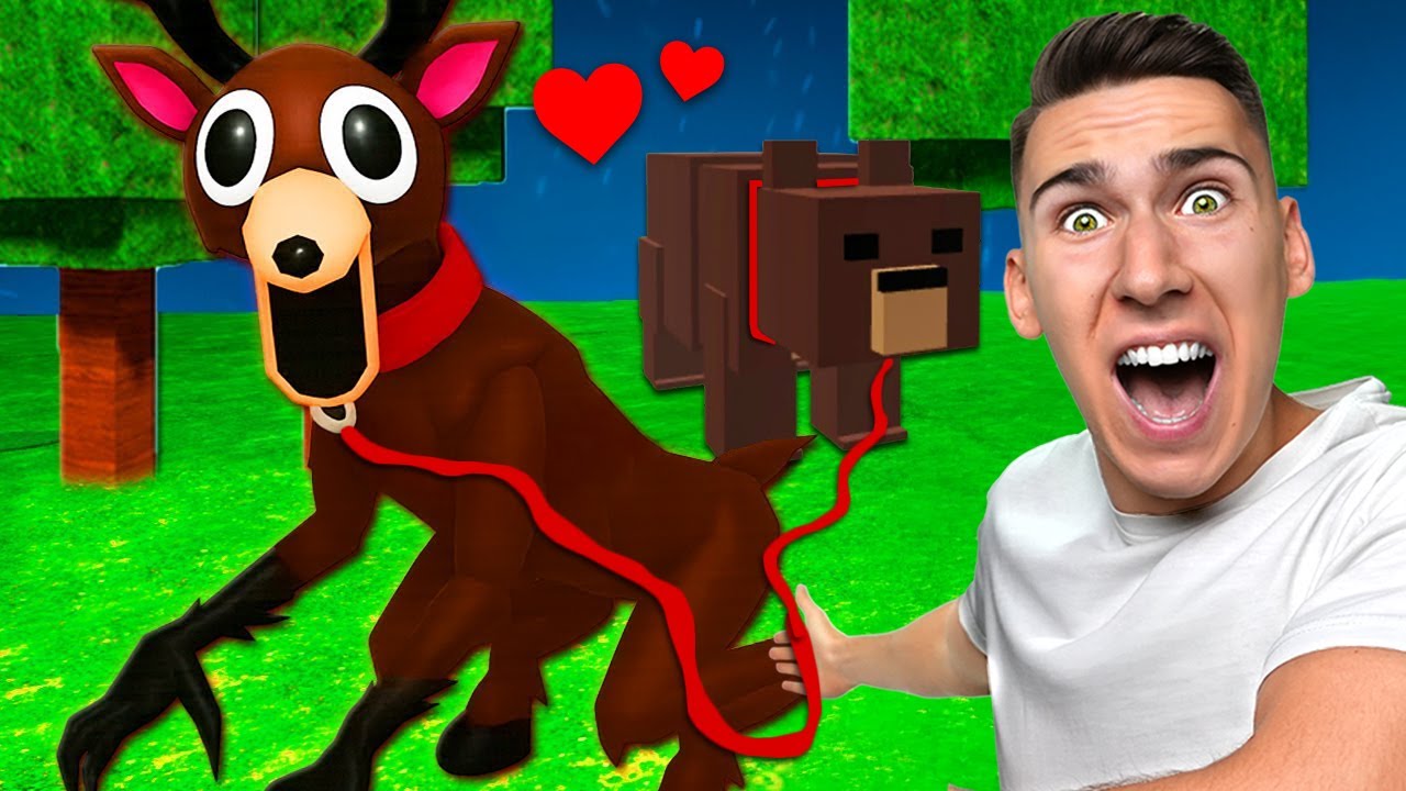 99 NOĆI U ŠUMI SA LJUBIMCIMA!