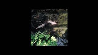 present - sam azareel