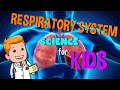 Respiratory System Quiz