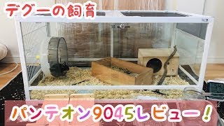 PANTHEON 9045 飼育ケージ【直接引取りのみ】 グラステラリウム9045 エキゾテラ GEX ガラス飼育ケージ 販売 通販