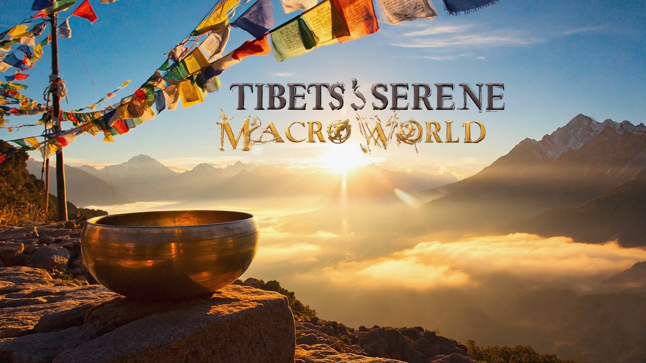 🏔️ DEEP TIBETAN HEALING — Singing Bowls & Nature Sounds for Calm, Focus ...