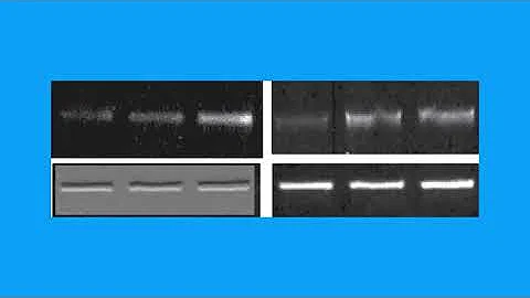 4C9D3E9649D0BF84B5C30FF339017B#2