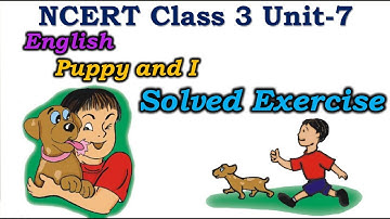NCERT Class 3 English Puppy and I Complete Solved Exercise