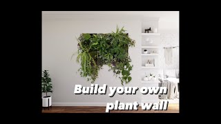 Build your own plant wall at home!