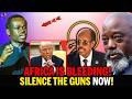 Furious PLO Lumumba Challenges AU Leaders LIVE, Africa Is Bleeding!