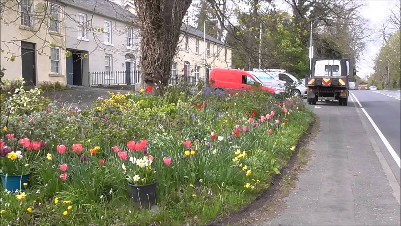 Extreme Wildflower gardening Seaforde Co Down YouTube