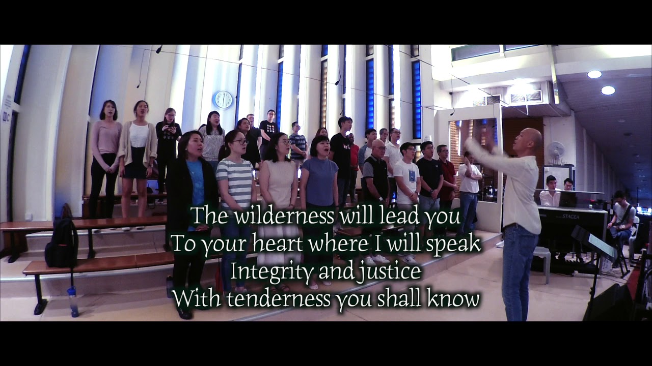 singapore tourist pass Hosea OLPS OCDC 2019