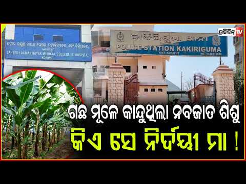 କଦଳୀ ଗଛ ମୂଳେ କାନ୍ଦୁଥିଲା ନବଜାତ ଶିଶୁ ଉଦ୍ଧାର କଲା ପୋଲିସ,କିଏ ସେ ନିର୍ଦୟୀ ମା ! Police rescue newborn baby