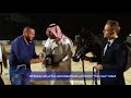 بطولة رباب الدولية لجمال الخيل العربية الأصيلة الجيزة مصر 2017