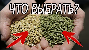 ЧЕМ КОРМИТЬ КРОЛИКОВ? МОЯ ЭВОЛЮЦИЯ В КОРМЛЕНИИ!