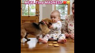 Baby Vs Puppy The Food Fight