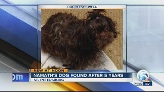 Dog owned by Joe Namath's daughter found 5 years later