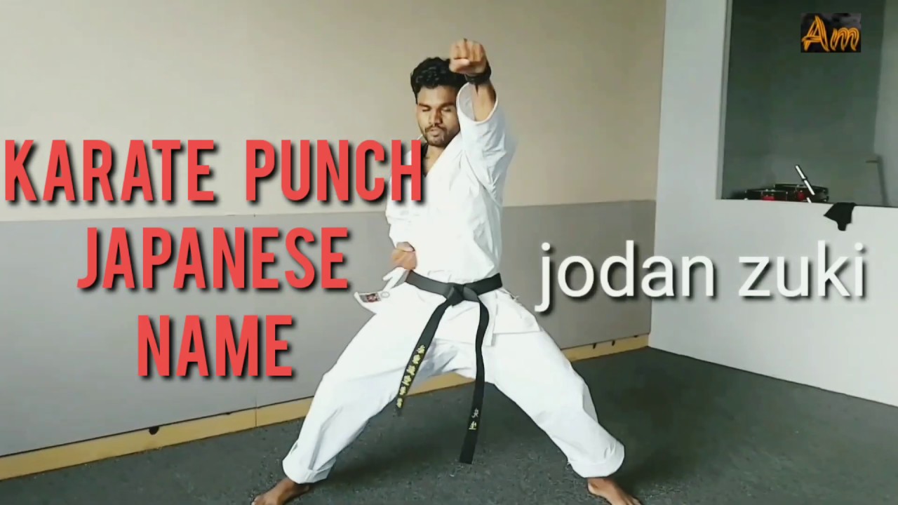 karate basic punch Japanese name image