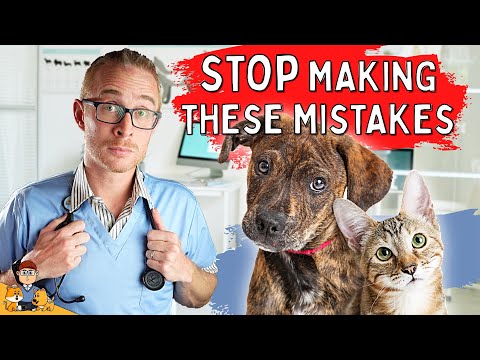 Top 10 mistakes pet owners make (ALL THE TIME!)