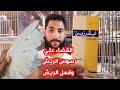 القضاء على سوس وقمل ريش الحمام والطيور من ابومريم التونسي القضاء على سوس وقمل ريش الحمام والطيور من ابومريم التونسي