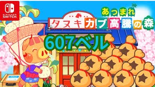 あつまれどうぶつの森かぶ高額買取607ベル