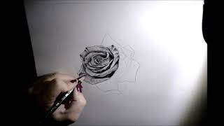 DIBUJANDO UNA ROSA A LÁPIZ