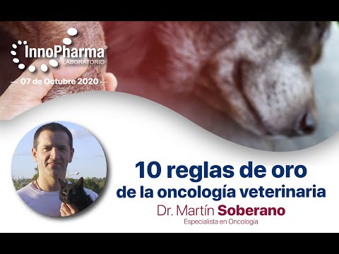 Video: Qué Esperar Cuando Ve A Un Oncólogo Veterinario