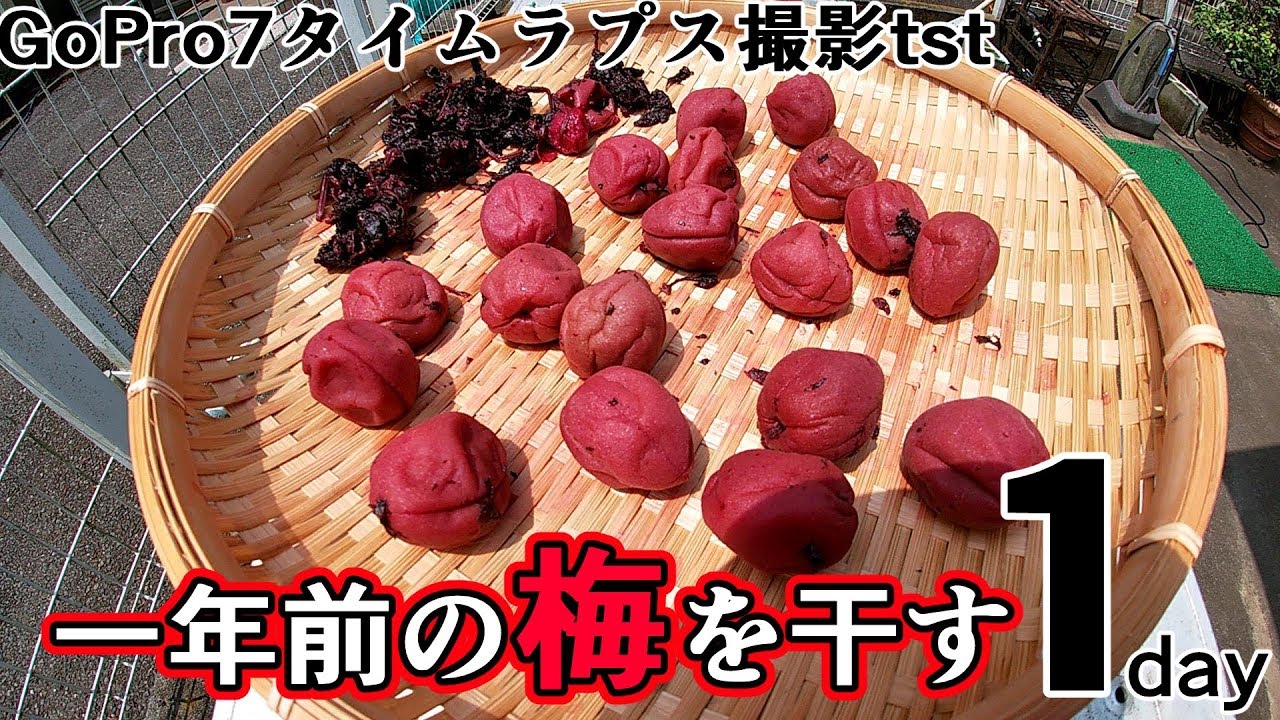 梅酢から梅塩を作ってみた Make Ume Salt From Ume Vinegar Youtube