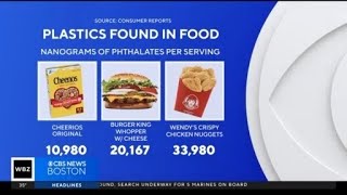 Study finds large amount of foods contain plastics