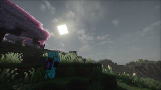 Cleaves Season 6 Application #application #minecraft @XyvrTV screenshot 4