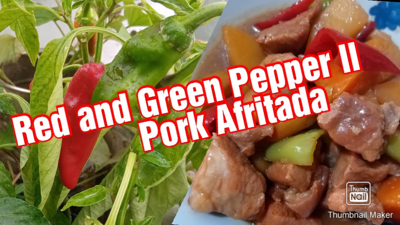 Red and Green Pepper Harvest ll Pork Afritada