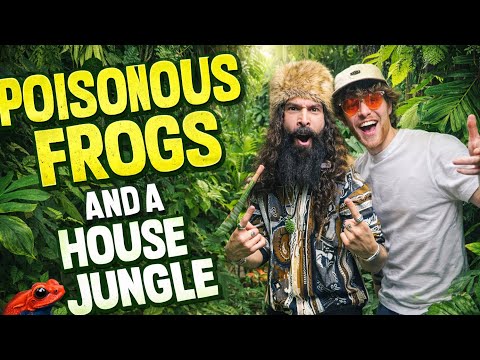 ADMT - Vlog 4 Poisonous Frogs And A Jungle House?!