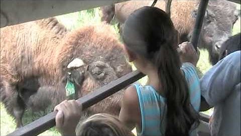 Dakota Language Immersion Program 2014