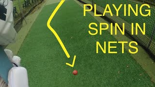 Go Pro Cricket Net Session With Zimbabwean Pro Left Arm Spin - Ryan Fitton Tafadzwa Tsiga