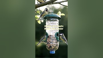 Genius DIY Plastic Bottle Bird Feeder