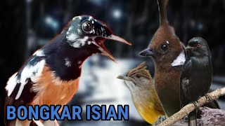 🔴MASTERAN MURAI BATU gila TEMBAKAN PANJANG | FULL MATERI ISIAN KESUKAAN JURI