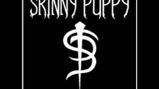 skinny puppy - daddyuwarbash