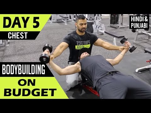 Ivysaur 4 4 8 Full Workout 2019 Best Beginner Split Rest Day Workout Vlog Linear Progression