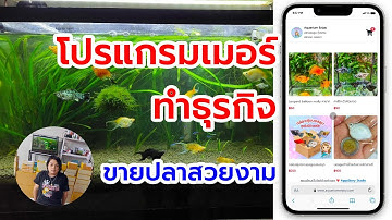 โปรแกรมเมอร์ทำธุรกิจ #2 รีวิวระบบขายของออนไลน์ เขียนด้วย PHP สมัยใหม่