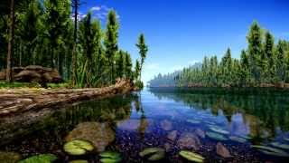 CryEngine 3 forest BEST GRAPICS!!!!!!