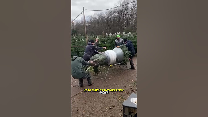 The risks of opening a Christmas tree gift box