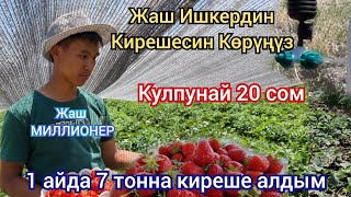 1 айда 7 тонна Тушум берди КУЛПУНАЙ САТЫП МИЛЛИОН киреше тАпкан жаш Ишкер