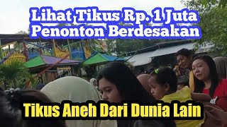Lomba Balap Hewan Hama Tikus || Petani Padati Arena Lomba #jelasaeng2