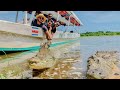 TOCANDO un COCODRILO del Río Tarcoles! | Puntarenas, Costa Rica