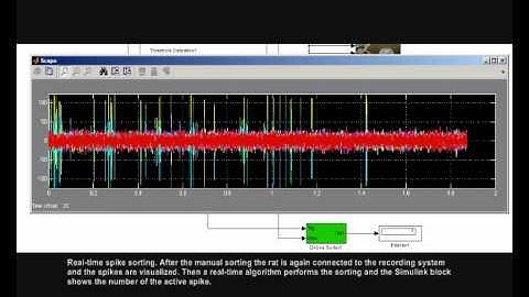 Real-time spike sorting of hippocampal place cells