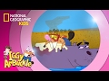 Iggy Arbuckle's Adventures and Characters