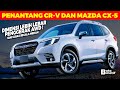 YAKIN PILIH CR-V ATAU INI ? Resmi RILIS, SUBARU COMEBACK di INDONESIA bawa SUV Offroad Dimensi LEBAR