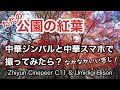 【格安トリオで動画を作るとこうなる】モミジの紅葉★格安中華スマホumidigi＋中華ジンバルcinepeer＋無料編集ソフトvita使用&amp;そこらへんの公園で撮影