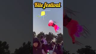 అమెరికాలో ఇలాంటి free family festivals untayani expect cheyyaledu 😍